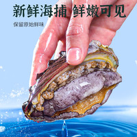 鲍鱼肉鲜活冷冻去牙去壳新鲜活鲍现剥去内脏火锅食材500g海鲜水产