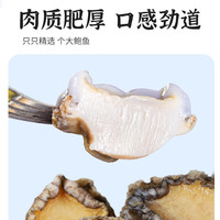鲍鱼肉鲜活冷冻去牙去壳新鲜活鲍现剥去内脏火锅食材500g海鲜水产