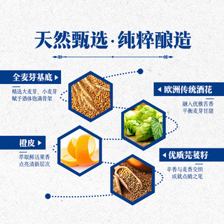 双合盛 11.8°P风味小麦啤酒 比利时6罐+五星原浆6罐