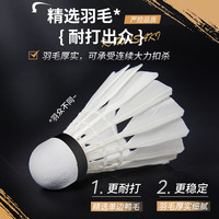 川崎T75羽毛球耐打初学训练体育比赛户外鹅毛球12只装极光稳定ymq