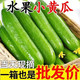京喜 新鲜水果黄瓜现摘现发  2斤
