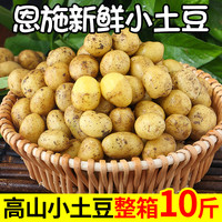 恩施小土豆10斤新鲜士豆黄心黄皮农家蔬菜迷你马铃薯洋芋
