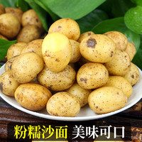 恩施小土豆10斤新鲜士豆黄心黄皮农家蔬菜迷你马铃薯洋芋