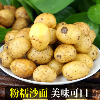 恩施小土豆10斤新鲜士豆黄心黄皮农家蔬菜迷你马铃薯洋芋