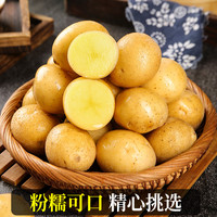 恩施小土豆10斤新鲜士豆黄心黄皮农家蔬菜迷你马铃薯洋芋