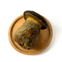 新鲜黑牛肝菌 食用菌云南特产牛肝菌菇炒菜煲汤火锅食材 