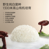 金燕耳古田有机银耳羹免煮5分钟冲泡即食金萃35g罐装干货