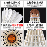 RSL亚狮龙羽毛球专业训练比赛用球耐打4号5号6号7号