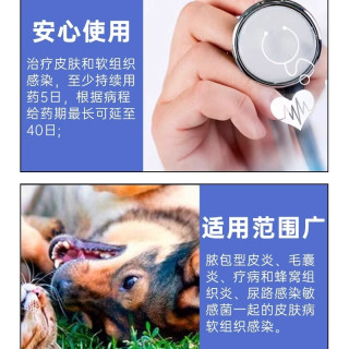 威隆麻佛美味片马波沙星片犬猫皮肤病脓皮症麻佛泌尿感染消炎药