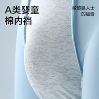 网易严选 莫代尔抑菌内裤男士精梳棉冰丝内裤男夏季凉感不闷舒适亲肤 C款冰丝凉感-海雾灰+航海蓝 XL
