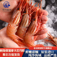 秋诗鲜湘 加拿大牡丹虾 M号刺身 1kg 34-42只