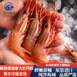 秋诗鲜湘 加拿大牡丹虾 M号刺身 1kg 34-42只