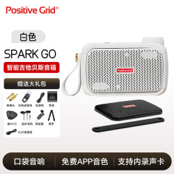 PositiveGrid Spark Mini 40 Go 电吉他音箱（40瓦）