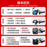 2025SUPER73电动自行车复古代步车山地越野宽胎两轮电瓶车 40Ah