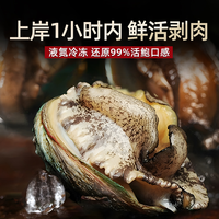 鲍鱼肉鲜活冷冻新鲜特大号去壳冰鲜速冻小鲍