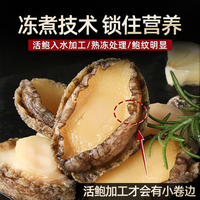 鲍鱼肉鲜活冷冻新鲜特大号去壳冰鲜速冻小鲍