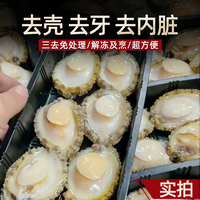 鲍鱼肉鲜活冷冻新鲜特大号去壳冰鲜速冻小鲍