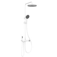 Panasonic 控温花洒套装S2 自洁顶喷家用冷热淋浴器 GQ1LYFR410W