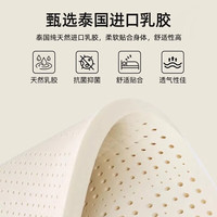 浪莎(langsha)A类乳胶床垫1.5米x1.9米软床褥子记忆绵榻榻米床垫子1.5x2米铺底 minmin-白绿【厚约6cm】 180cm*200cm双人床【拒绝塌陷】