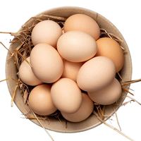 耕果妙 农家散养土鸡蛋 40g 生鲜蛋