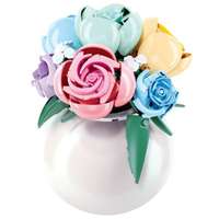 PLEYERID 野想 花卉植物系列 M38-P8070 糖果玫瑰