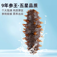 九九福参参王大连即食海参500g深海底播辽刺参海鲜刺参鲜食