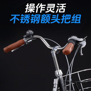 PHILLIPS菲利普自行车荷兰款式复古通勤车成人男女通勤车城市通勤代步 禧玛诺外七速-暗夜黑-24英寸