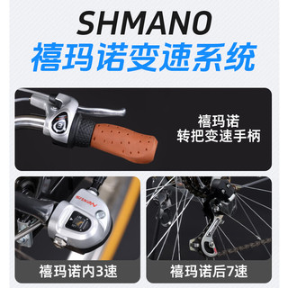 PHILLIPS菲利普自行车荷兰款式复古通勤车成人男女通勤车城市通勤代步 禧玛诺外七速-暗夜黑-24英寸