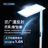 知光鸟 曜光大路灯落地灯立式护眼灯儿童阅读台灯全光谱钢琴灯