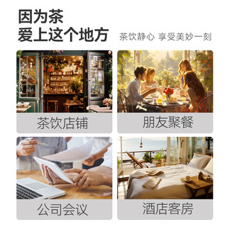 经典红茶茶包100包独立小袋装茶叶袋泡茶 客房酒店茶包