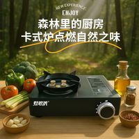 野狼侠 Wild Wolf 野狼侠 户外便携式卡磁炉瓦斯炉燃气炉