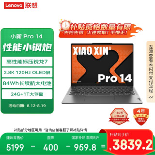 联想 Lenovo 小新Pro14 2024款 八代锐龙版 轻薄本（锐龙R7-8745H、核芯显卡、24GB、1TB SSD）