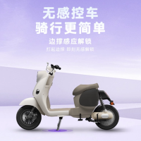 限地区：雅迪 摩登绽放60 电动自行车