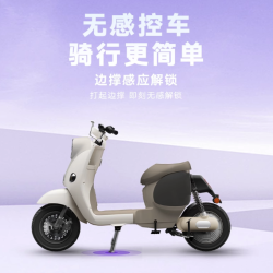 雅迪 摩登绽放60 电动自行车