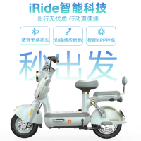 限地区：雅迪 摩登莱茵 电动自行车