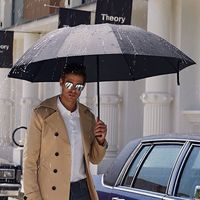 百亿补贴：红叶 超大号雨伞