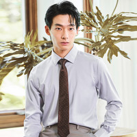 报喜鸟正装衬衫男装【成衣免烫】秋季款男士商务正装纯棉通勤长袖衬衣男 月影灰 38 (170/84)