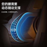 西屋人体工学椅电脑电竞办公椅子久坐不累大体重天鹅