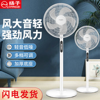 扬子空调 扬子电风扇家用机械控制三档大风量摇头大广角正常风自然风落地扇电风扇YZLDS