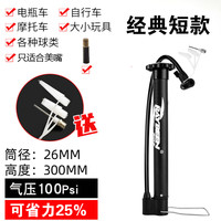 Raybeen 家用打气筒自行车汽简小型迷你便携式充气管子电动电瓶车通用篮球