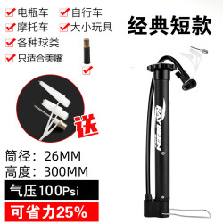 Raybeen 家用打气筒自行车汽简小型迷你便携式充气管子电动电瓶车通用篮球