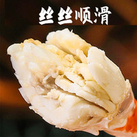 莱州超大梭子蟹鲜活新鲜海蟹飞蟹白蟹清蒸 蟹类 生鲜中秋礼盒 鲜活梭子蟹 公蟹