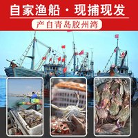 【活发】青岛梭子蟹鲜活特大非冷冻新鲜海鲜野生飞蟹海蟹螃蟹顺丰