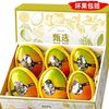 萧鲜生 精选四川攀枝花凯特大芒果  净重8.5-9斤（单果600g+）