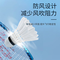 Lining/李宁 LI-NING羽毛球D1耐打防风D6飞行稳定D3S比赛D8训练鸭毛球 D8-76速【水鸭】12只 12只装