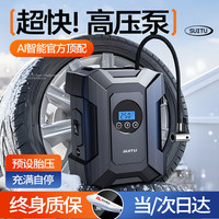 随途 ST-818 汽车充气泵 180*140*75mm 120W