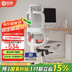 西昊 B100Pro 人体工学椅办公椅电脑椅子人工力学座椅久坐电竞椅学习椅