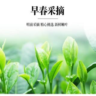 白沙2025年新茶 海南白沙绿茶250g/袋 陨石坑上的高山云雾茶农垦茶叶 白沙绿茶250g
