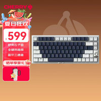 CHERRY KW300MX TKL机械键盘81键NewVintage 海军蓝/灰色 茶轴