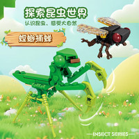 开益 积木昆虫 螳螂